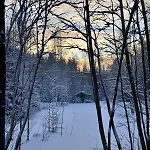Hébergement de vacances Serene Forestnest Hirsjärvi