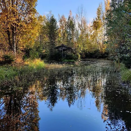 Nyaraló Serene Forestnest