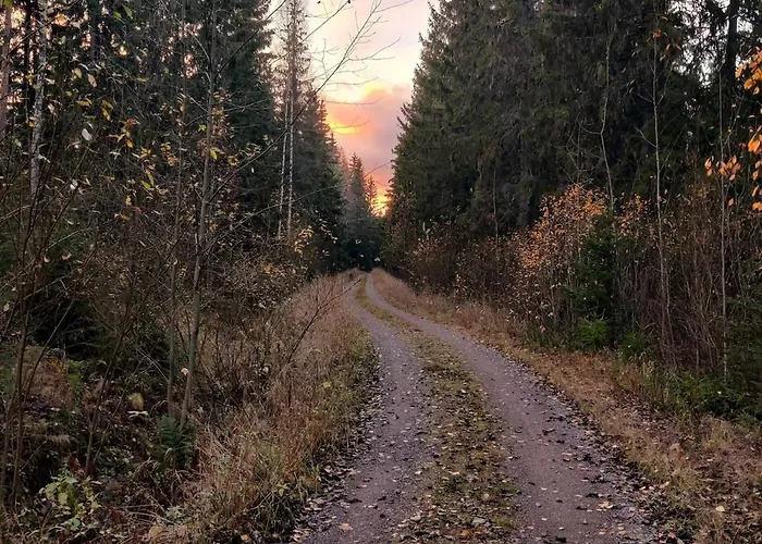 Nyaraló Serene Forestnest
