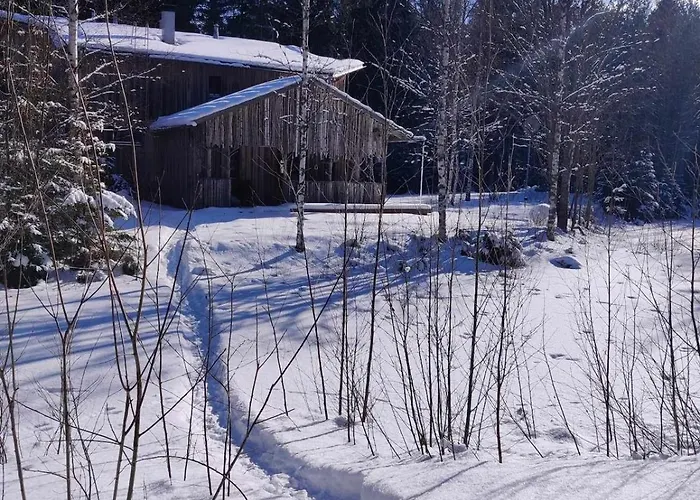 Casa de Férias Serene Forestnest