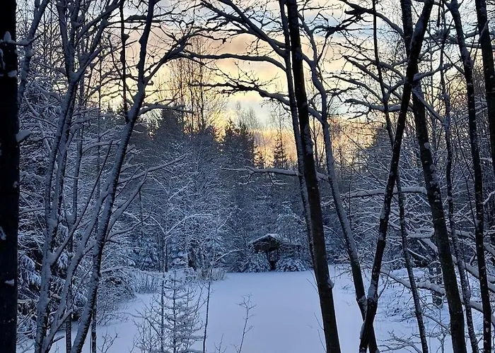 Casa de Férias Serene Forestnest Hirsjärvi
