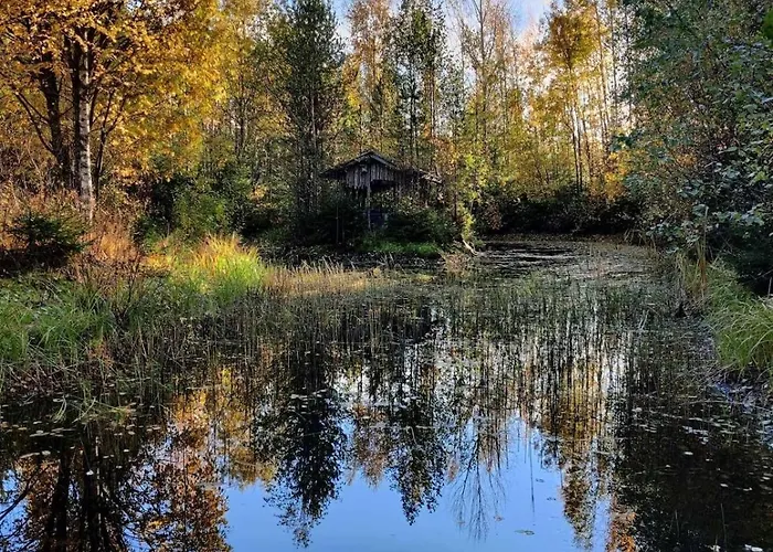 Casa de Férias Serene Forestnest